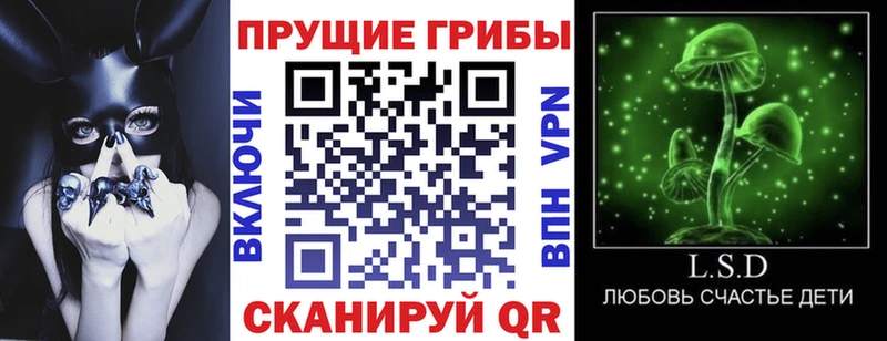 мега сайт  Казань  Галлюциногенные грибы мицелий 