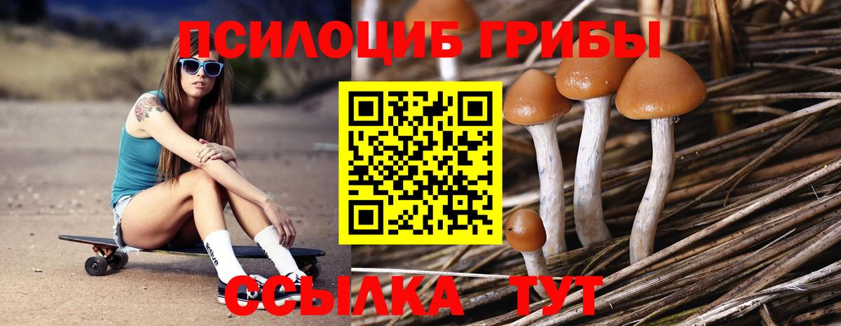 Галлюциногенные грибы Psilocybe  Вход с VPN  Казань 