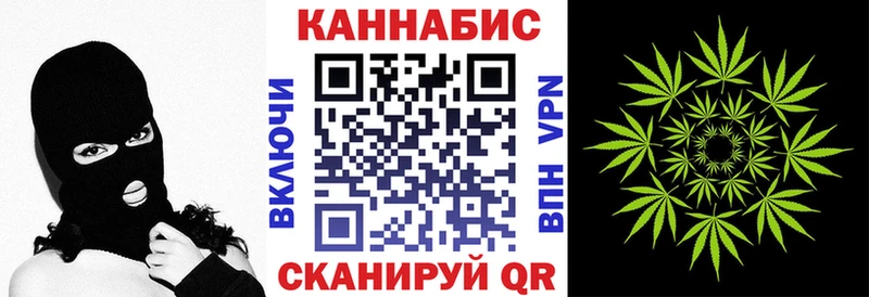 Каннабис сатива  закладка  Казань 